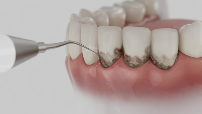 Reliable Dental contractor in Howell, MI by Dentist Open Now